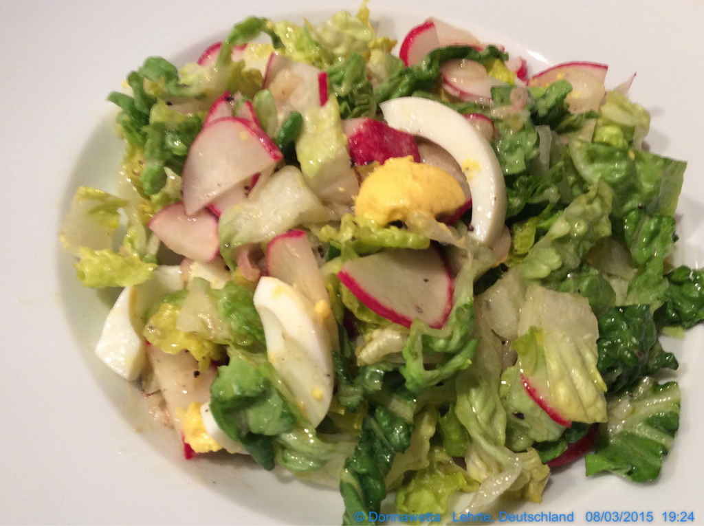 gemischter Salat mit Ei