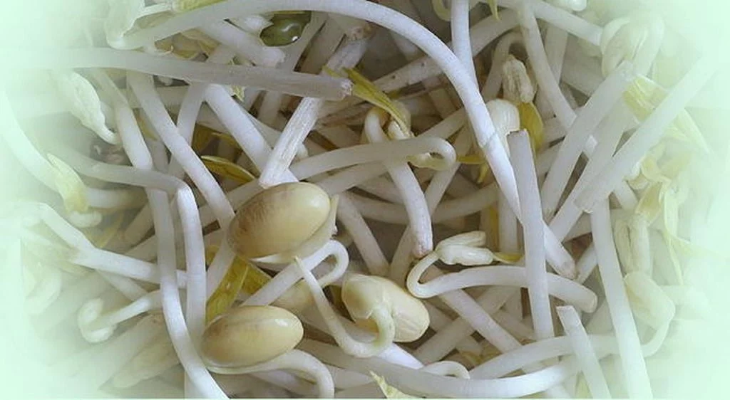 Mungbohnensprossen-Salat