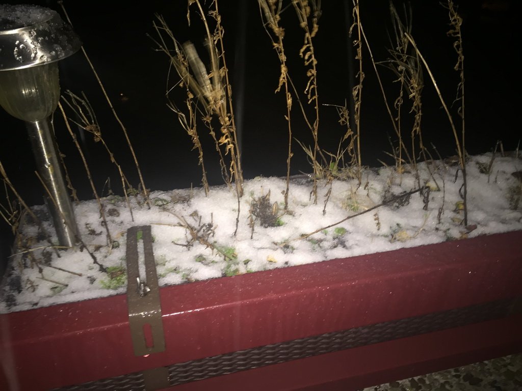 erster Schneefall im neuen Jahr 2017