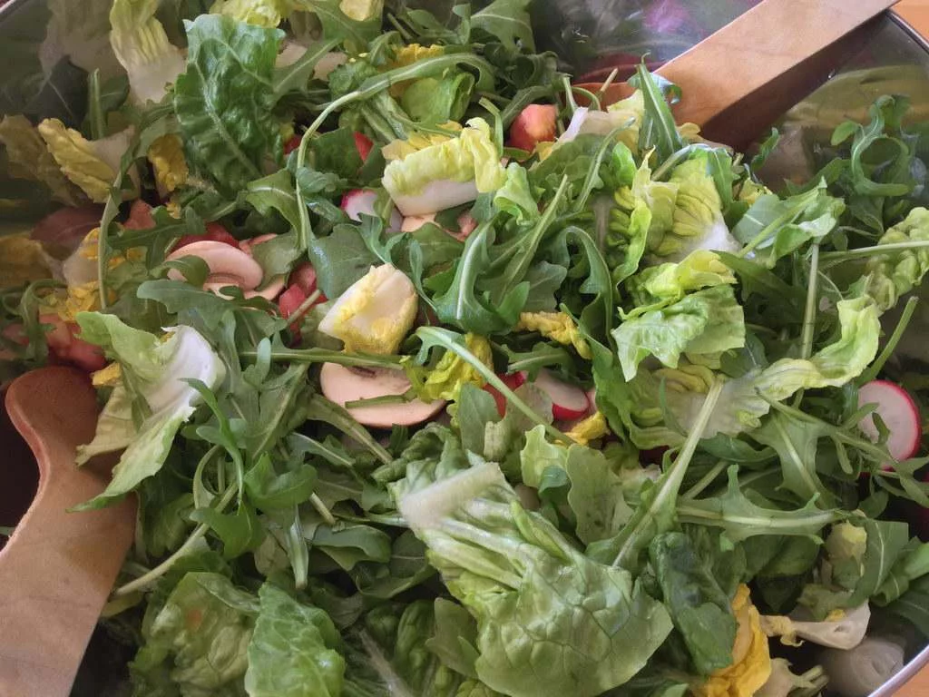 Salat angerichtet - Kochgruppe bei Extremwetter in Hannover-Lehrte