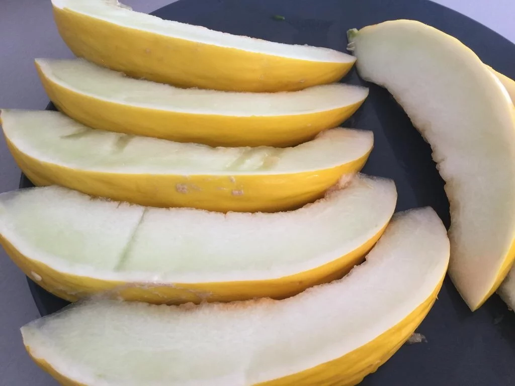 Melone - Kochgruppe bei tollem Sommerwetter mit angrillen