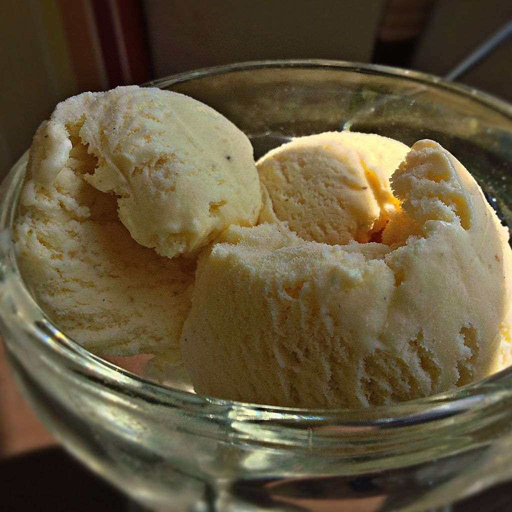 Vanille-Eis zum Dessert - Filet an Champignon-Risotto mit Salat