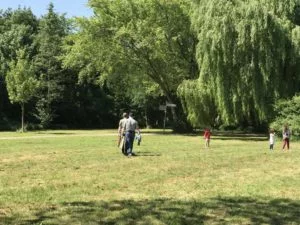 Picknick mit Lehrte hilft und DRK Pfingsten 2018 - aufräumen