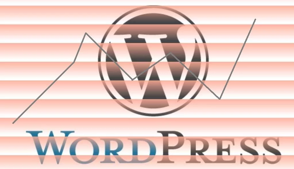 WordPress Statistiken und LOGs