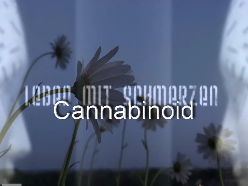 Leben mit Schmerzen-Cannabinoide