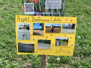 Projekt Bienenwiese von Jonas