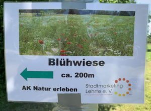 hier gehts zur Blühwiese