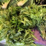 Bauernmarkt am Bahnhof Hannover - Kräuter