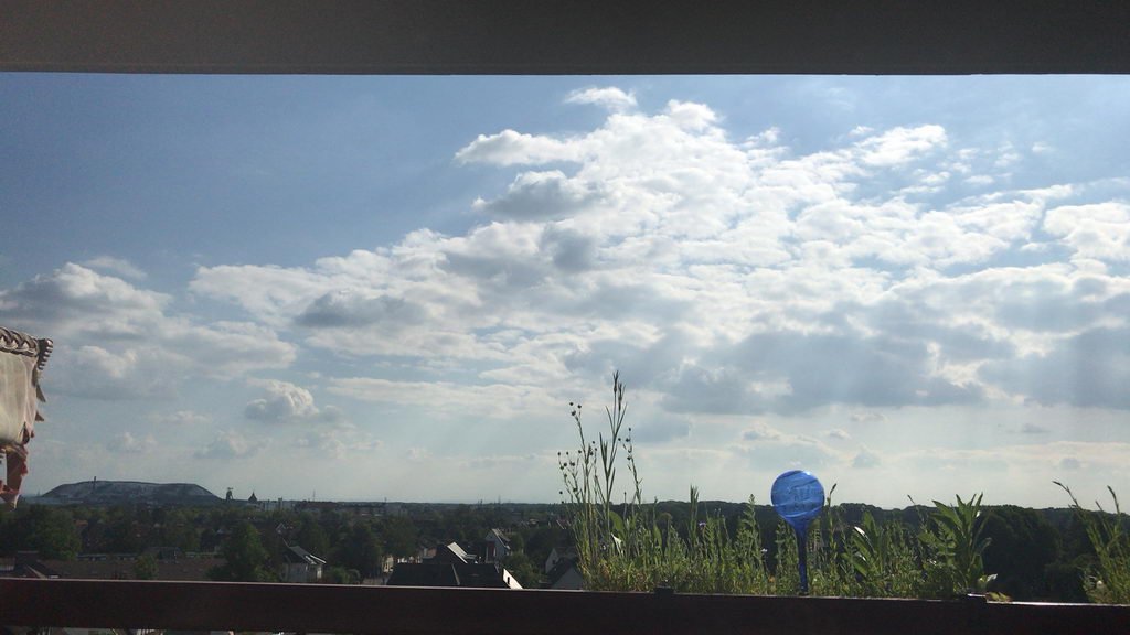 Fotos exportiert aus Zeitraffer