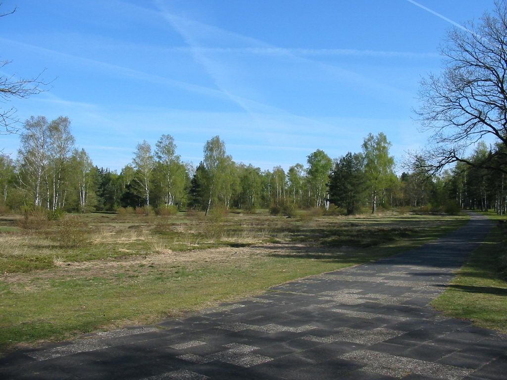 Bergen-Belsen