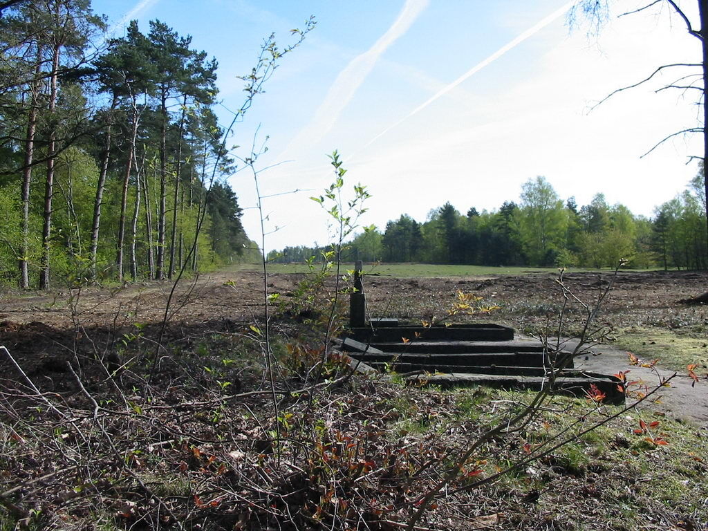 Bergen-Belsen