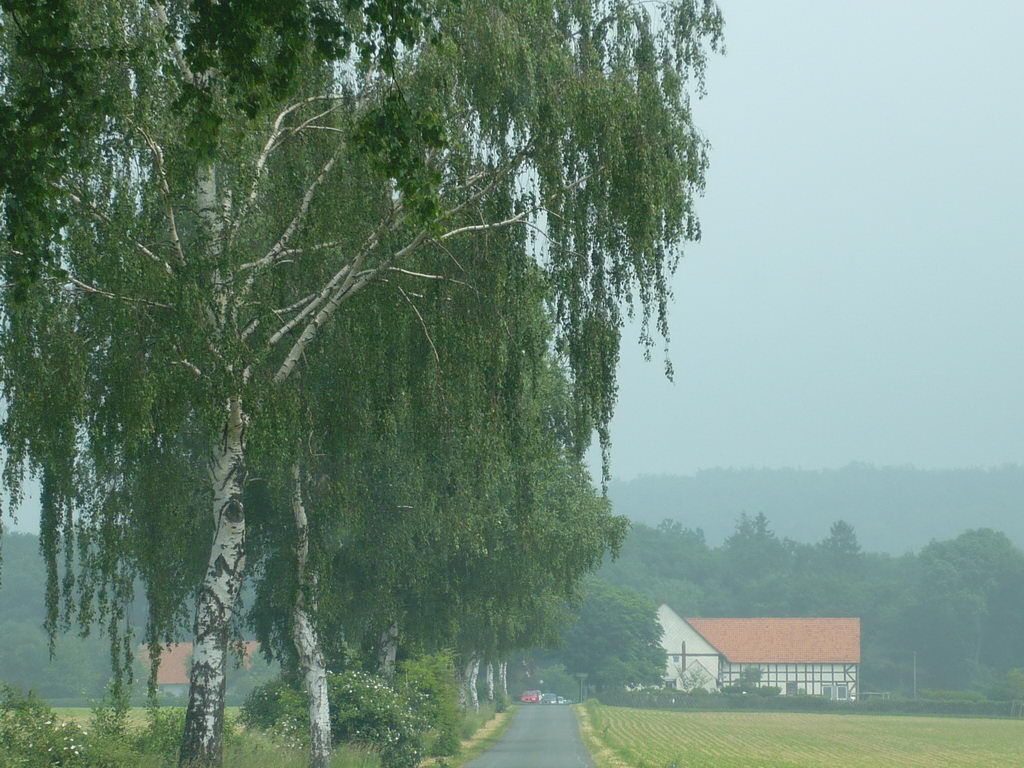 Marienburg, Marienhagen, Ith, Bodenwerder, Salzburg (Nds)