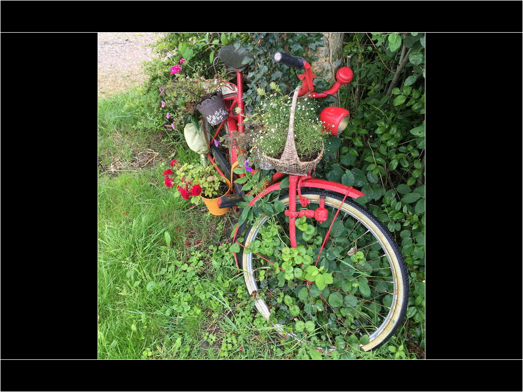 Tagesausflug Wremen mit Lehrte hilft im Juli 2016