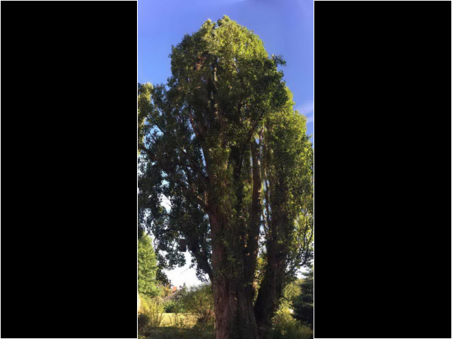 KH-Aufenthalt 2016-09