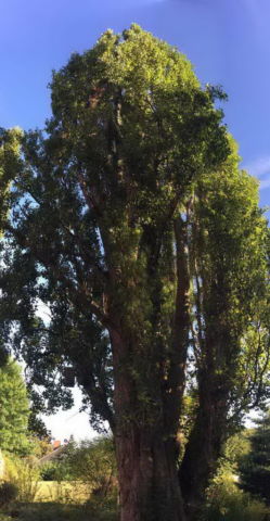 KH-Aufenthalt 2016-09