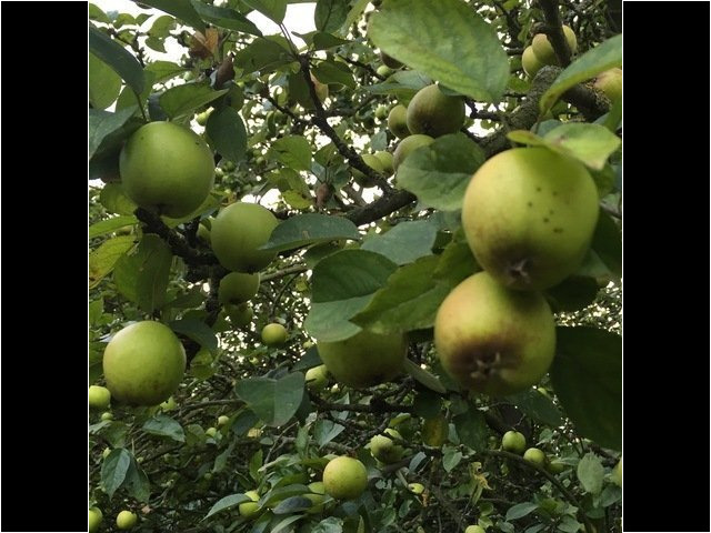 KH-Aufenthalt 2016-09