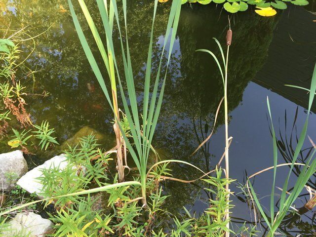 KH-Aufenthalt 2016-09