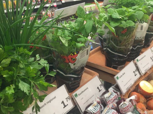 neuer Biomarkt in Lehrte