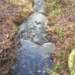 Weihnachtsessen bei Muttern und Spaziergang