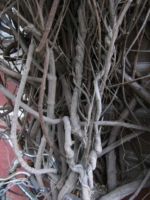 Projekt Kochgruppe, vorher Spaziergang