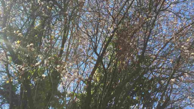 auf dem nach Hauseweg