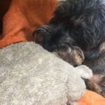 Dackelblick - Osterbesuch bei Muttern