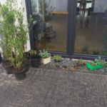 Kochgruppe mit Aprilwetter