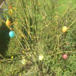 Vor dem Haus - Osterbesuch bei Muttern