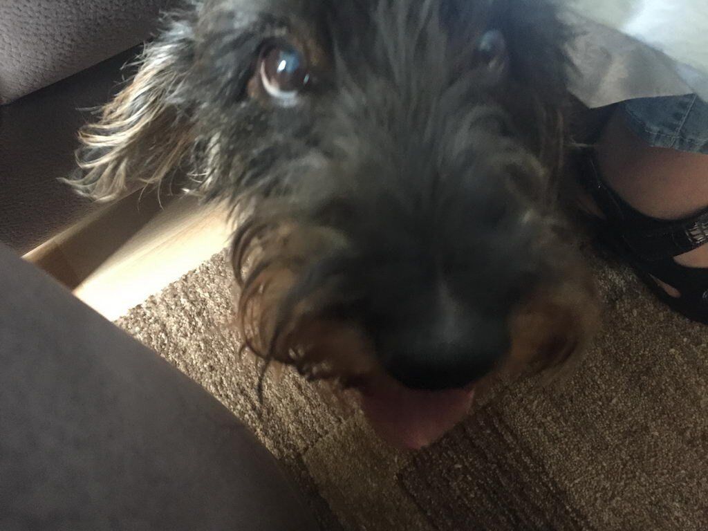 Spaziergang - Spargel essen bei Mutter in Gedenken an meinen Papa