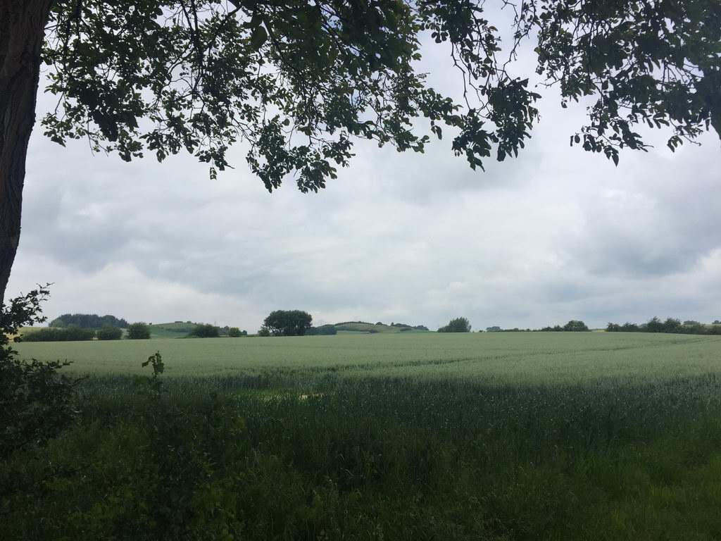 Spaziergang - Spargel essen bei Mutter in Gedenken an meinen Papa