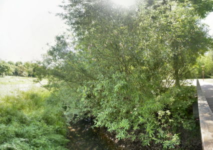 Himmelfahrt am Lehrter Bach