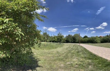 Himmelfahrt am Lehrter Bach