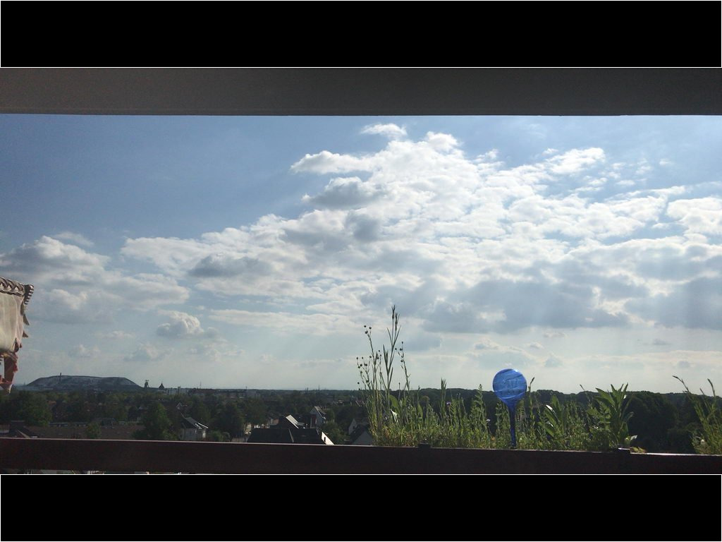 Fotos exportiert aus Zeitraffer