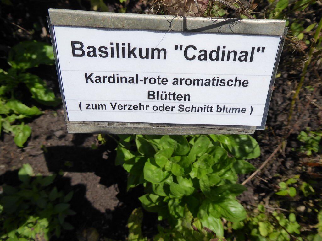 Infotafeln