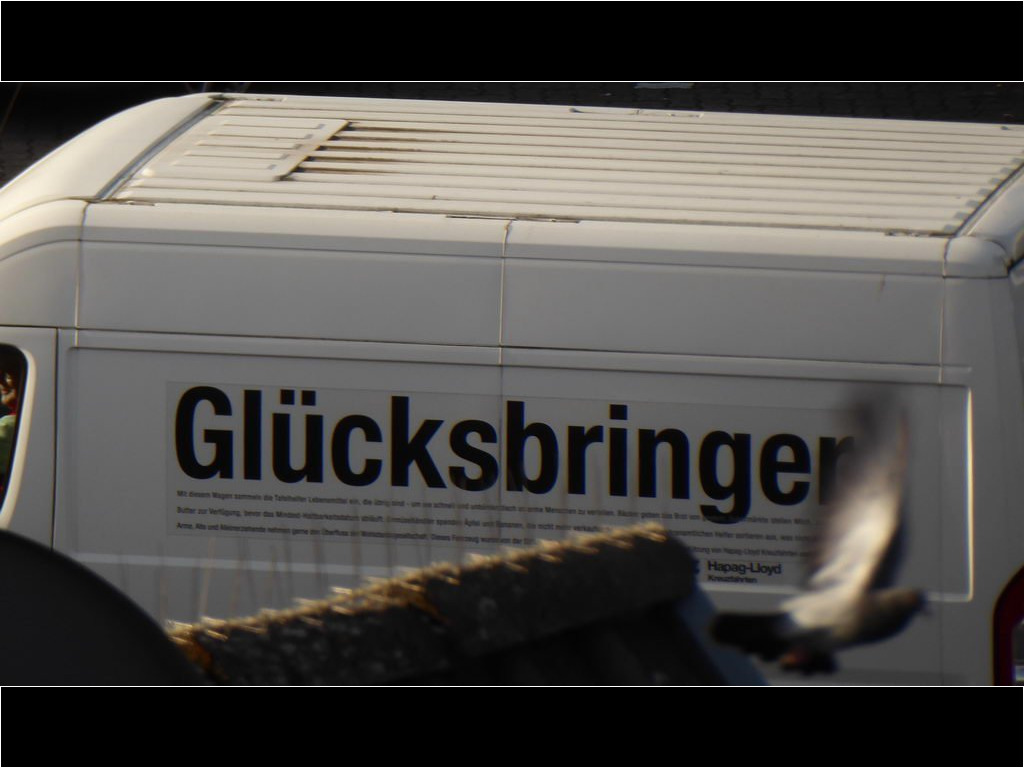 Glücksbringer sollte jede-r haben