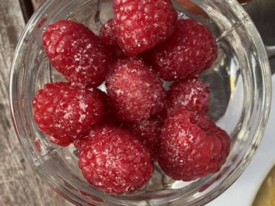 Himbeeren