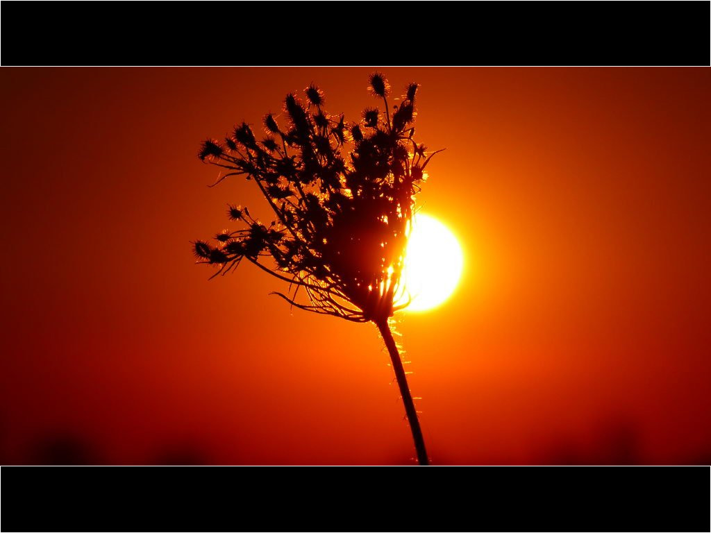 Sonnenuntergang 15-09-2020
