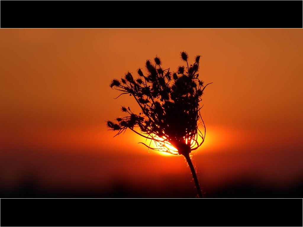 Sonnenuntergang 15-09-2020