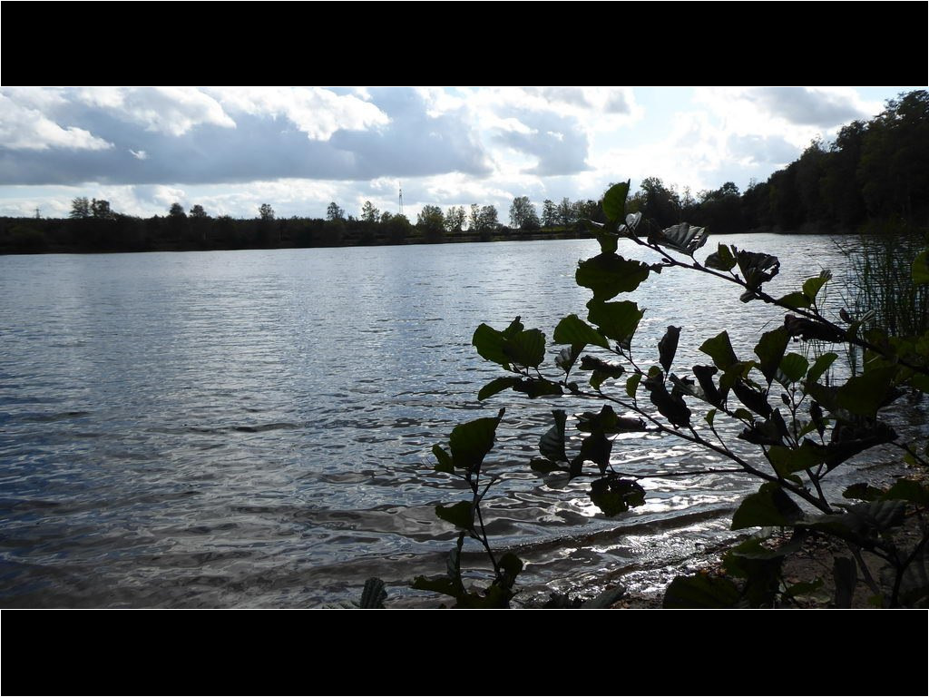am Blauen See