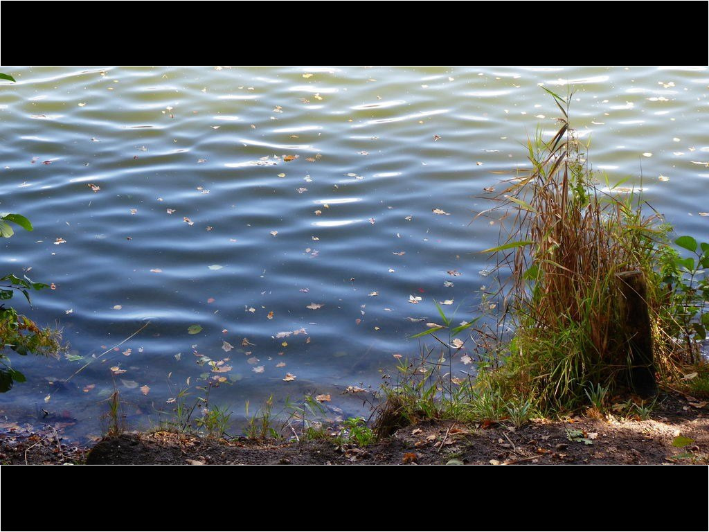 am Blauen See