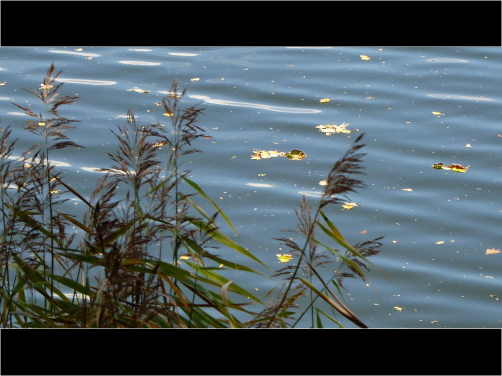 am Blauen See