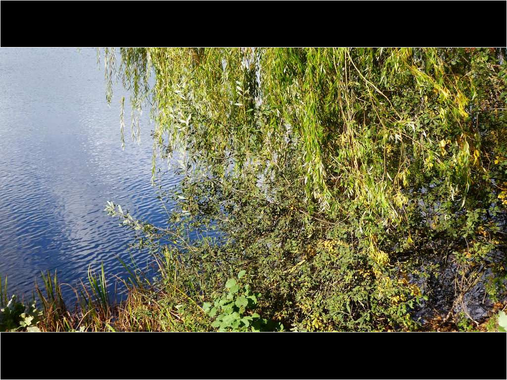 am Blauen See