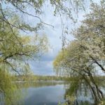 kleiner Spaziergang am Blauen See Lehrte