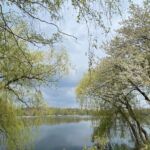 kleiner Spaziergang am Blauen See Lehrte