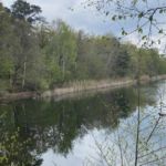 kleiner Spaziergang am Blauen See Lehrte