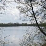 kleiner Spaziergang am Blauen See Lehrte
