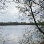 kleiner Spaziergang am Blauen See Lehrte