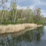kleiner Spaziergang am Blauen See Lehrte
