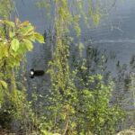 kleiner Spaziergang am Blauen See Lehrte
