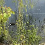 kleiner Spaziergang am Blauen See Lehrte